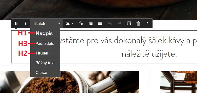 Webnode zkušenosti.
